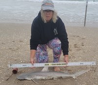 Team Breakaway - Carol Cox