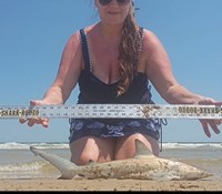 Just Bitten Shark Fishing Team - Lynsay Lewis