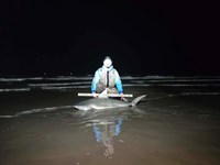 Shark at the Moon - Hunter Caldwell