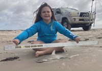 Sharkaholics - Emma Knight