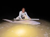 Team Spinning Krazy - Robert Rivera