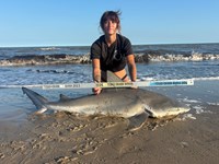 Gulf Gear - Kiah Diaz