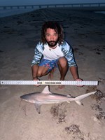 Gulf Gear - Adrian  Quintana