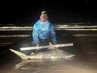 Shark at the Moon - Hunter Caldwell