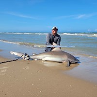 South Texas Shark Stewards - ROME Fuentes