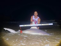 South Texas Shark Stewards - Michael  Iruegas 