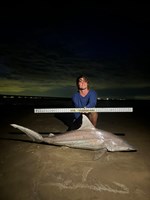 Gulf Gear - Hunter Stevens