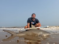 Gulf Gear - Josh Diaz