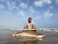 Gulf Gear - Josh Diaz