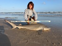 Gulf Gear - Kiah Diaz