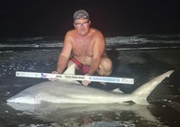 Sharkaholics - Shane Belaire