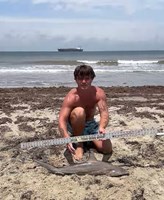 Gulf Gear - Adrian  Quintana