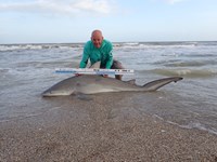 Team Spinning Krazy - Dusty Arrington