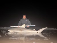 Gulf Gear - Josh Diaz