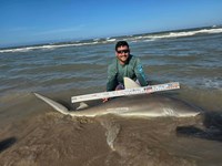South Texas Shark Stewards - Pedro Elizalde 