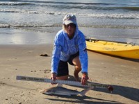 Team Breakaway - Carol Cox