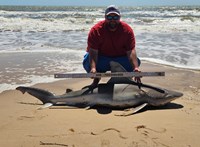 Team JackWagon - Donnie Tidwell