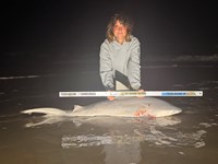 Gulf Gear - Kiah Diaz