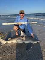 Up Coast Sharkers - Trenton Williams