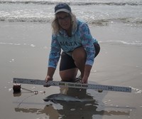Team Breakaway - Carol Cox