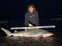 Gulf Gear - Kiah Diaz