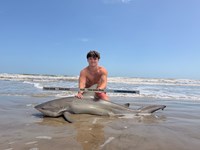 Gulf Gear - Hunter Stevens