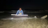 South Texas Shark Stewards - Pedro Elizalde 