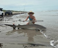Sharkaholics - Kyle Barnes