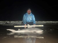 Shark at the Moon - Hunter Caldwell