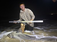 Up Coast Sharkers - Trenton Williams