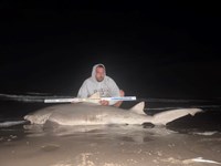 Gulf Gear - Josh Diaz