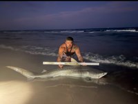 Sharkaholics - Robert Wayne Barnes