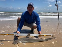 Make Sharking Great Again - Deon Hunter