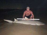 Just Bitten Shark Fishing Team - Klayton Hoffart