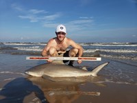 Make Sharking Great Again - Jullian Lopez